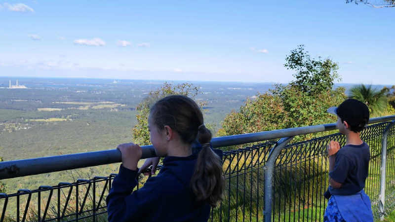 watagans-state-forest-lookout