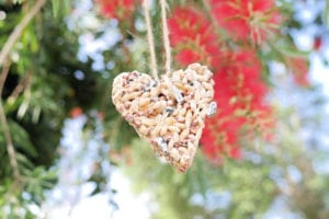 birdseed-ornaments-recipe
