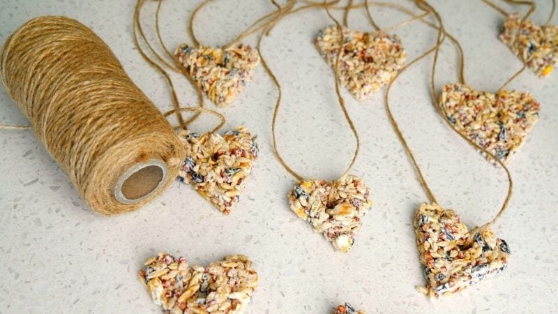birdseed-ornaments-recipe-finished-hearts