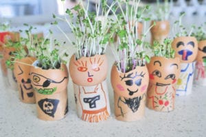 grow-eggheads