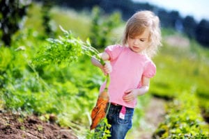 kids-veggie-patch