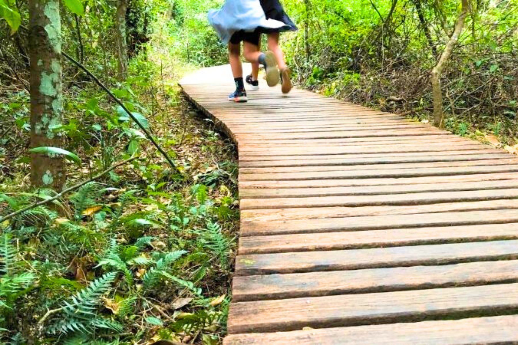 family-walking-tracks-lake-macquarie-main2