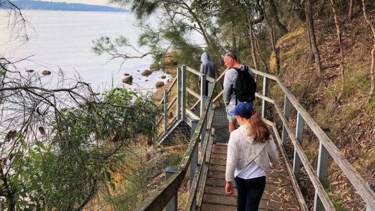 Awaba Bay Foreshore Walk | wildlife | Lake Mac Family Life