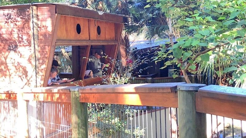 Blackbutt-reserve-gallery4