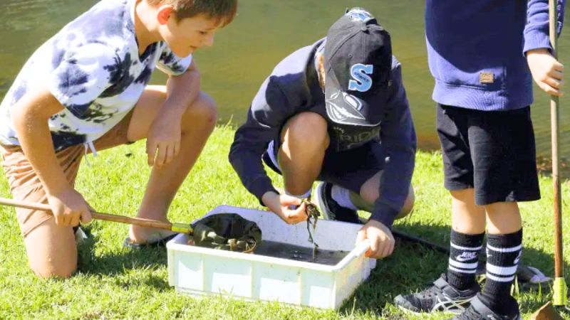 Hunter-wetlands-centre8