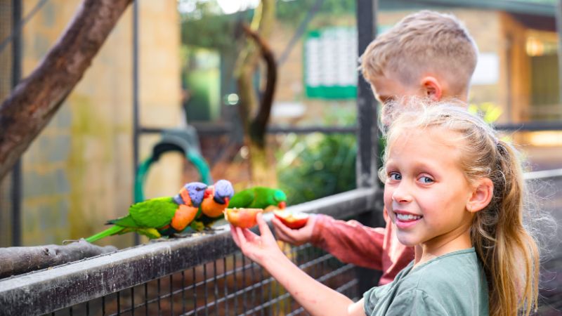 Hunter-valley-wildlife-park6