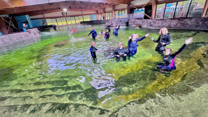 Irukandji-Shark-Ray-Encounters10