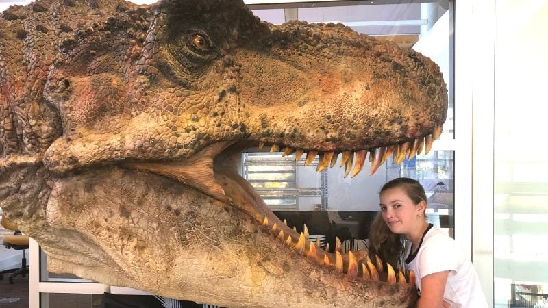 SEEN-@-Swansea-tyrannosaurs-exhibition-gallery1