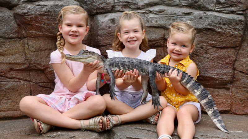 australian-reptile-park-gallery1