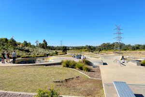 Pasterfield-skate-park-main