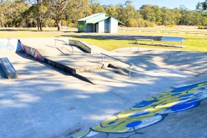 Holmesville-skate-park-main2
