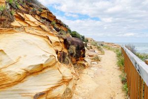 Bouddi-National-Park-walk-main