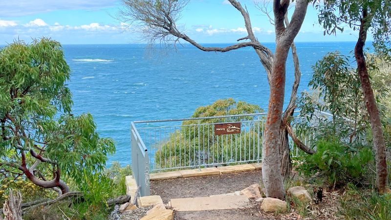 Bouddi-National-Park-walks-gallery10