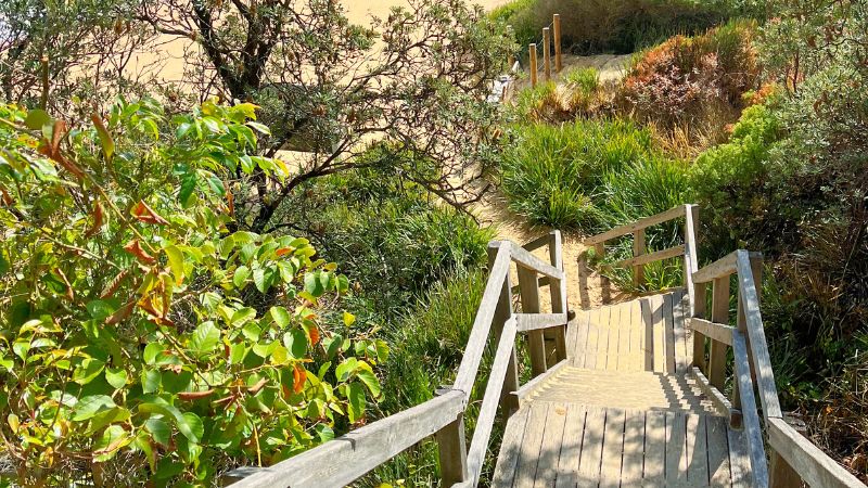 Bouddi-National-Park-walks-gallery3