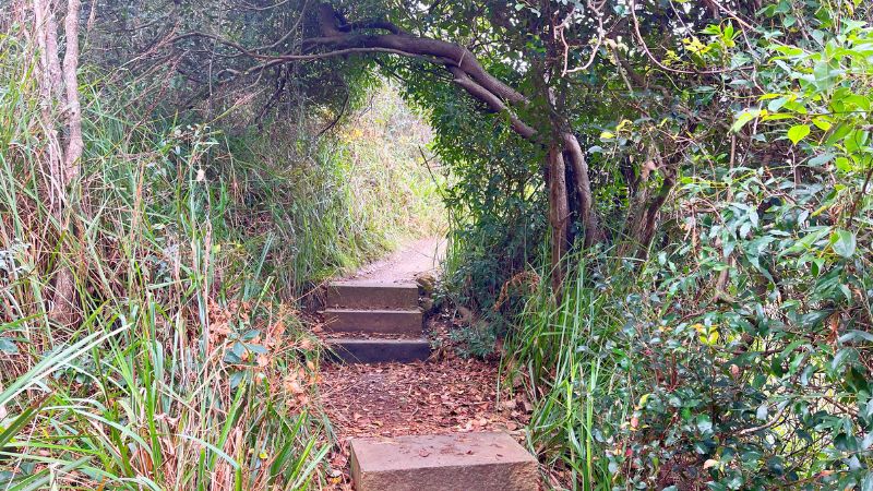 Bouddi-National-Park-walks-gallery7