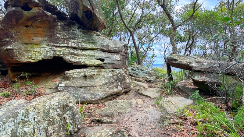 Bouddi-National-Park-walks-gallery9