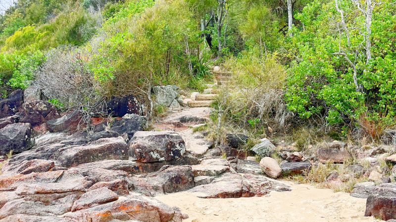 tomaree-coastal-walk-nelson-bay-gallery2