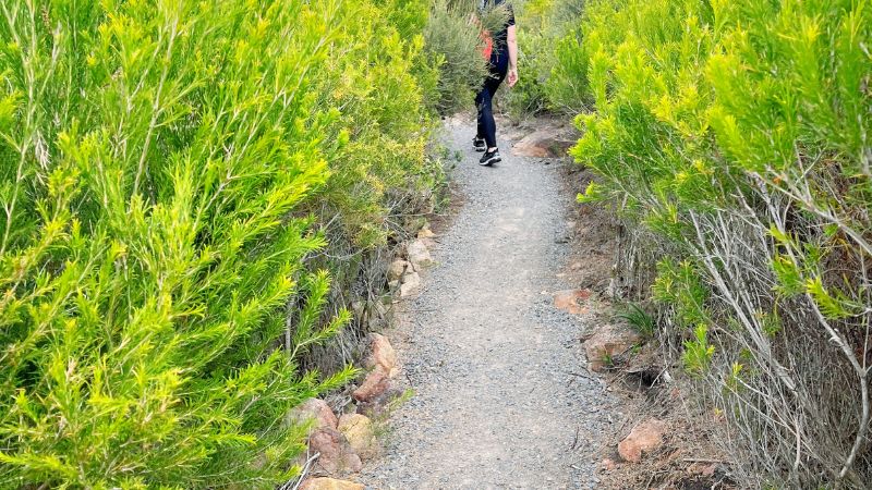 tomaree-coastal-walk-nelson-bay-gallery6