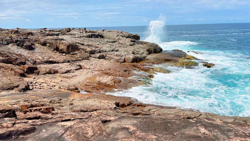 tomaree-coastal-walk-nelson-bay-gallery9