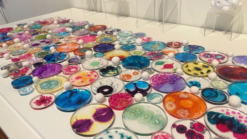 mac-booragul-exhibition-2025-gallery2