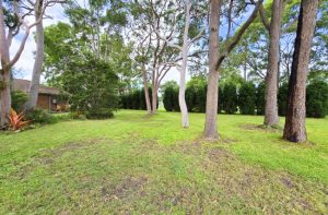 warners-bay-lions-club-gallery2