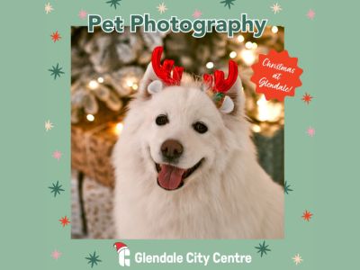 glendale-city-centre-pet-photography