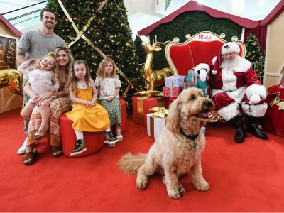 westfield-kotara-pet-photos-christmas-lake-mac