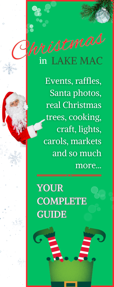 Christmas-in-lake-mac-lakemac-gold (1)