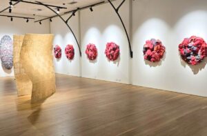 performing-arts-culture-cessnock-gallery7