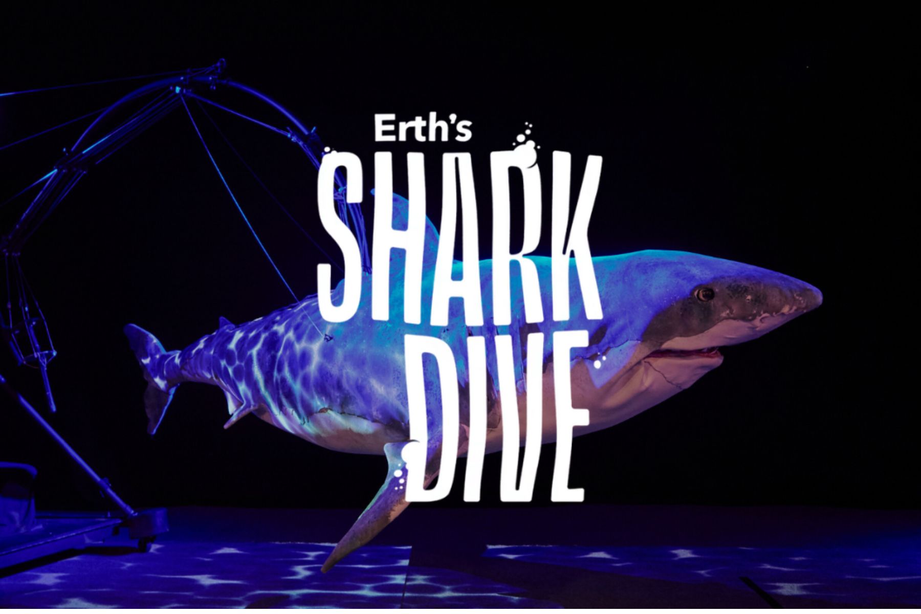 shark-dive-PACC-april-26