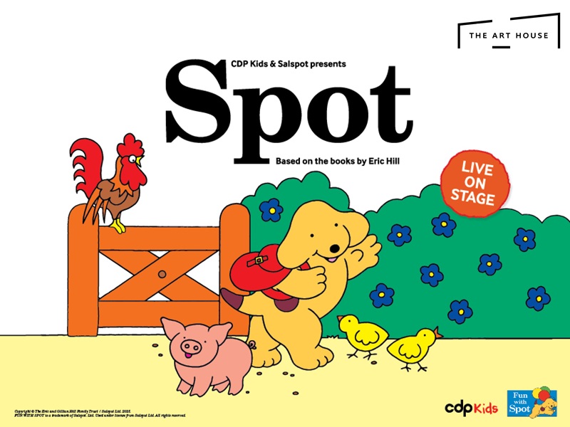 the-art-house-wyong-spot-live