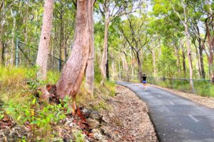wallsend-glendale-tramway-trail-main
