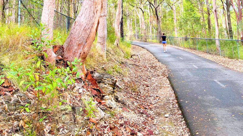 wallsend-to-glendale-tramway-walk-gallery6