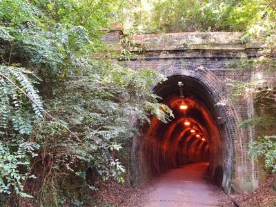 dog-friendly-Ferneligh-track-gallery16