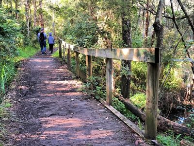dog-friendly-Kilaben-bay-walking-with-dogs-gallery1