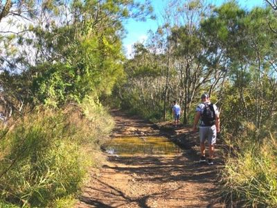 dog-friendly-belmont-lagoon-walk-gallery7