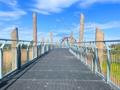 dog-friendly-fernleigh-awabakal-shared-track-gallery18