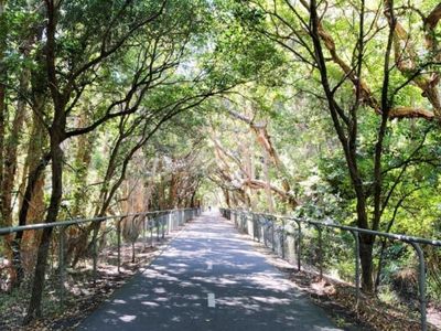 dog-friendly-fernleigh-track-gallery17