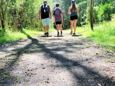 dog-friendly-myuna-bay-turtles-gallery26