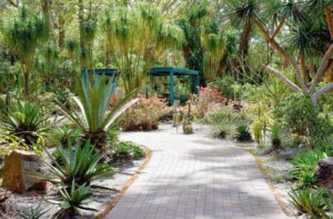 hunter-region-botanic-gardens-gallery1