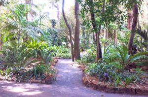 hunter-region-botanic-gardens-gallery3