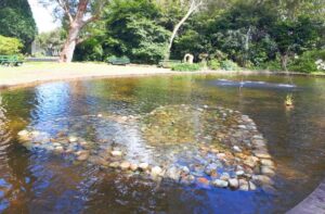 hunter-region-botanic-gardens-gallery4