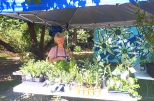 hunter-region-botanic-gardens-gallery5