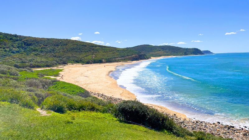 leggy-point-gallery5