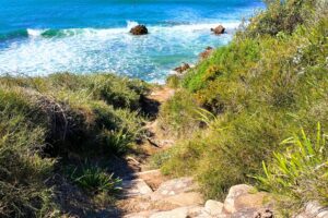 leggy-point-loop-walking-track-main