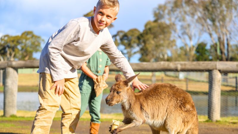 hunter-valley-wildlife-park-gallery1