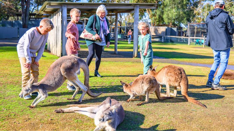 hunter-valley-wildlife-park-gallery2
