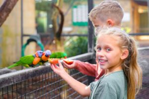 hunter-valley-wildlife-park-main