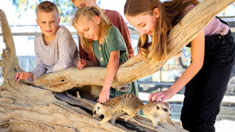 wildlife-park-hunter-valley-gallery4