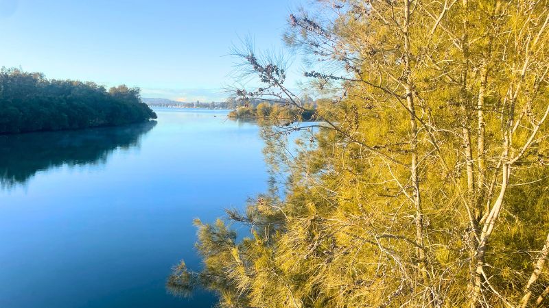 Cockle-creek-walks-gallery3
